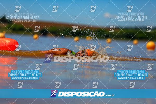 Foto 8221811