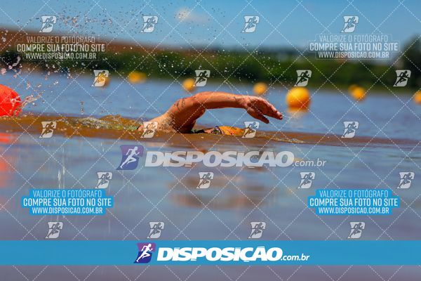 Foto 8223050