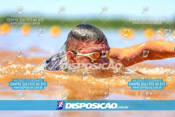 Foto 8223362