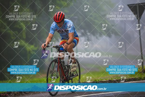 Foto 8234851