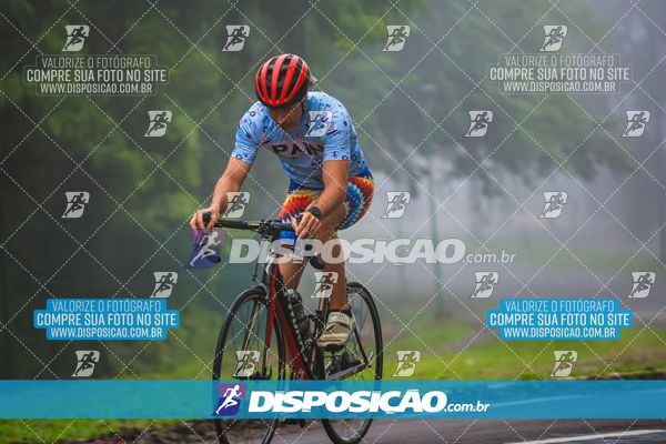 Foto 8234854