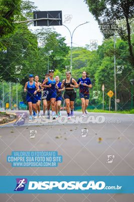 Foto 8235484