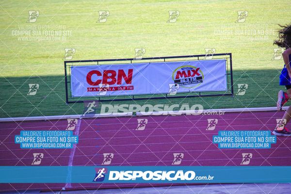 Foto 8246668