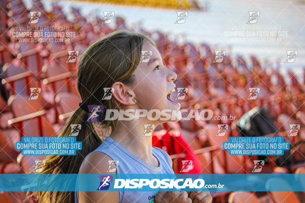 Foto 8246707