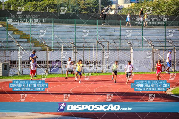 Foto 8246829
