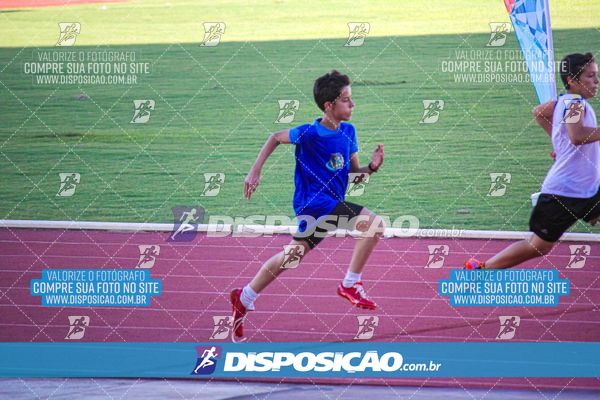 Foto 8246853