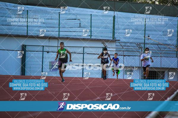 Foto 8246904