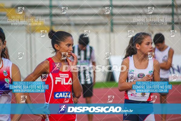 Foto 8246955