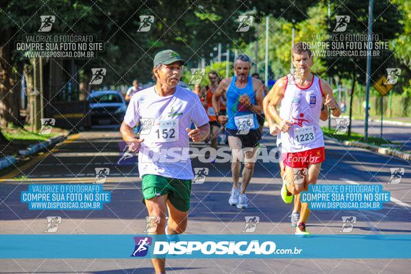 Foto 8248074