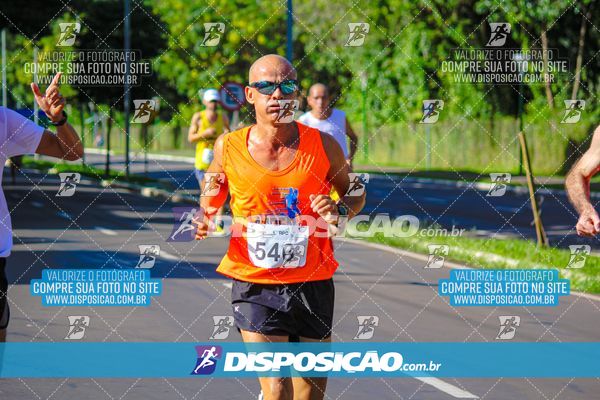 Foto 8248083