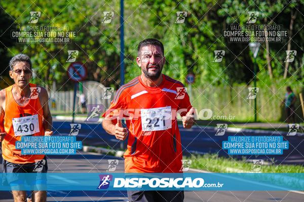 Foto 8248169