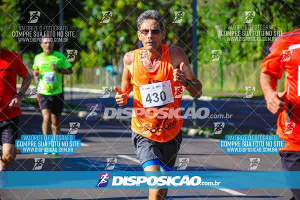 Foto 8248165