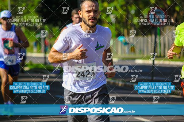 Foto 8248164