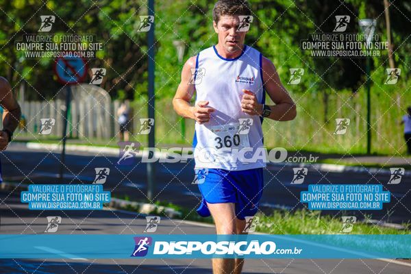 Foto 8248168