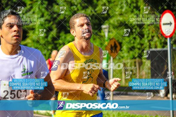 Foto 8248331