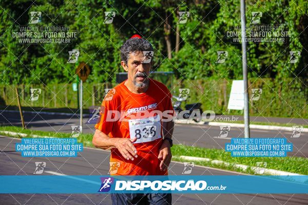 Foto 8248344