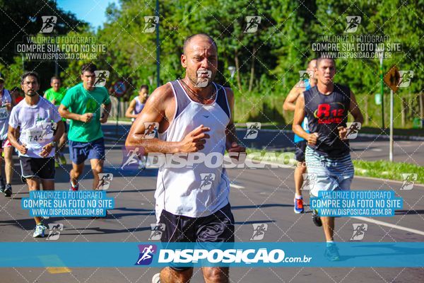 Foto 8248348