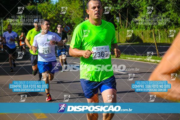 Foto 8248374