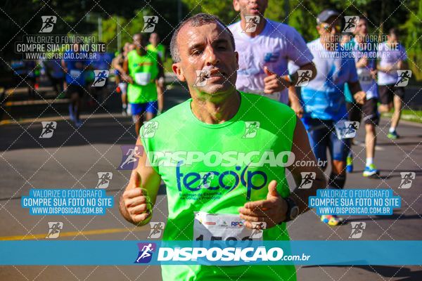 Foto 8248379