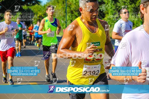 Foto 8248414
