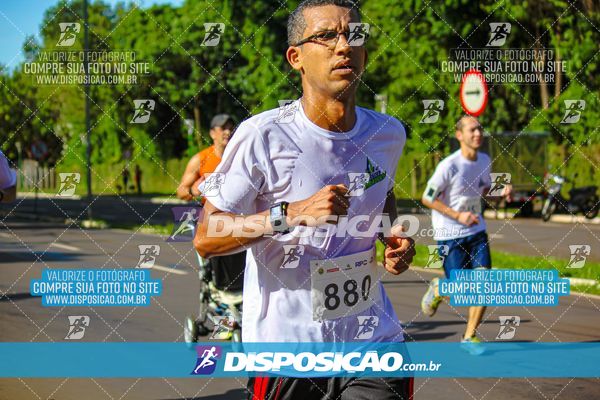 Foto 8248492