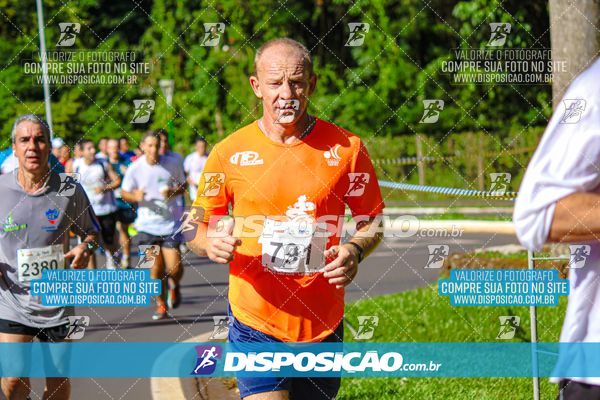 Foto 8246480