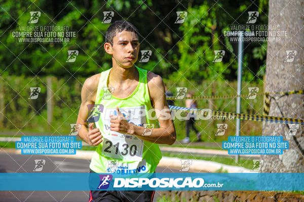 Foto 8241851