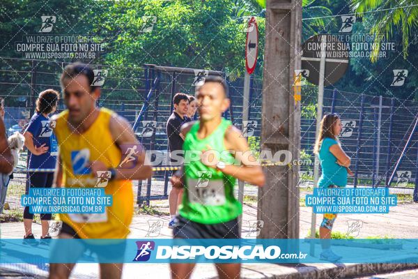 Foto 8242264