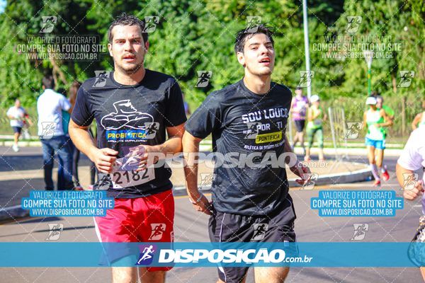 Foto 8242355