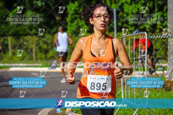 Foto 8242382