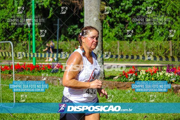 Foto 8242623