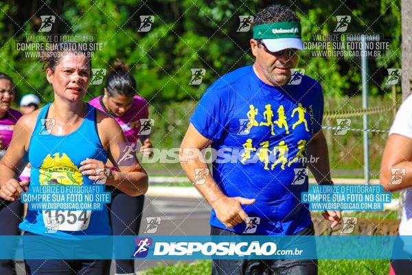 Foto 8242726