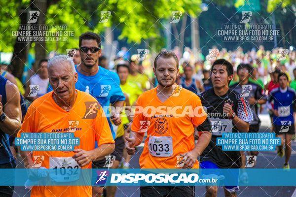 Foto 8242751