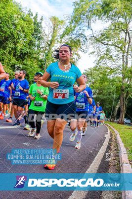 Foto 8286041