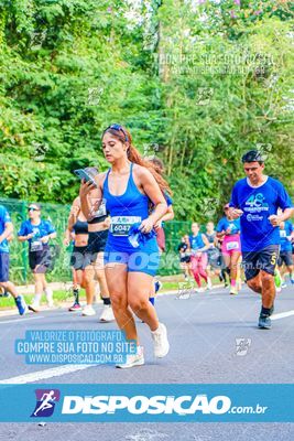Foto 8286185