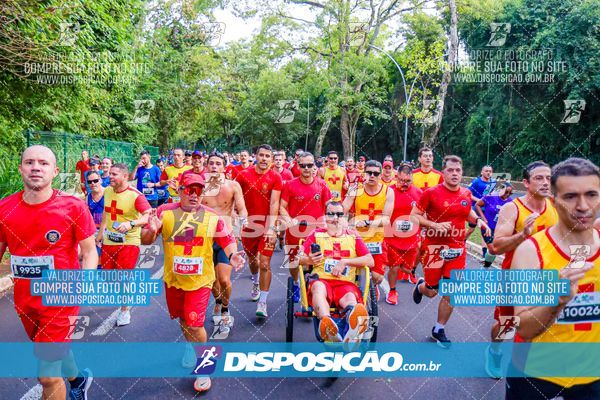 Foto 8286331