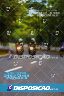 Foto 8288856
