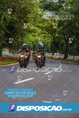 Foto 8288779