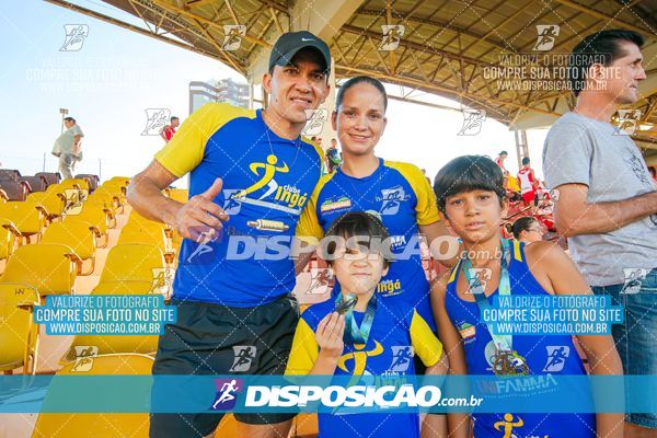 Foto 8247016