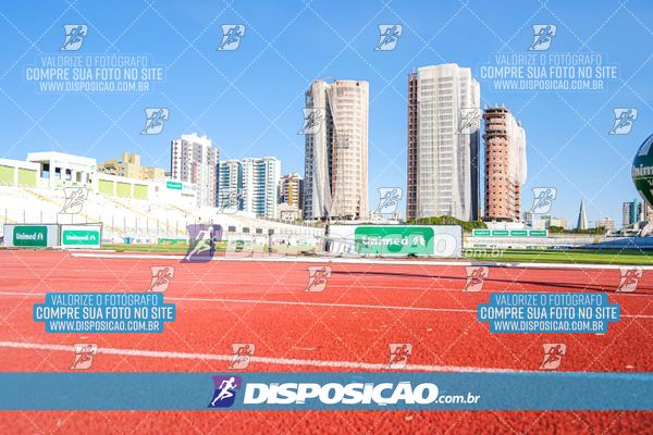 Foto 8247054