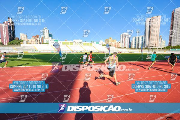Foto 8247078