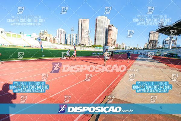 Foto 8247117