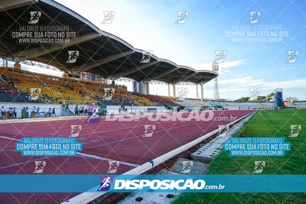 Foto 8247089