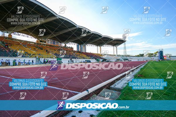 Foto 8247093
