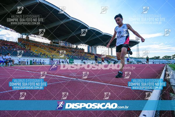 Foto 8247113