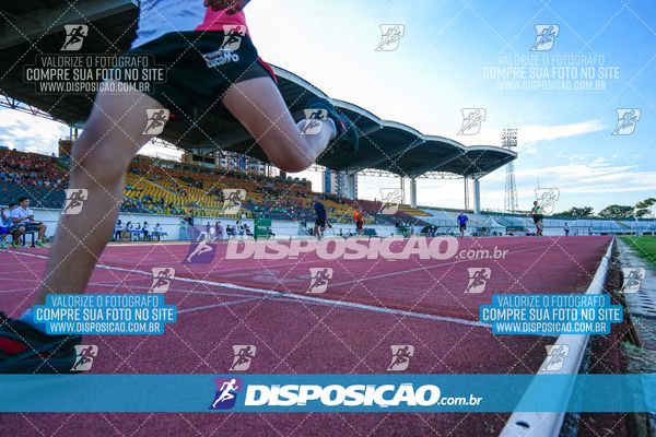 Foto 8247119