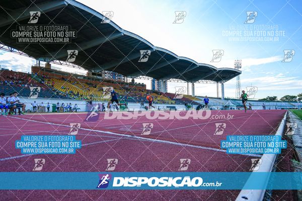 Foto 8247126