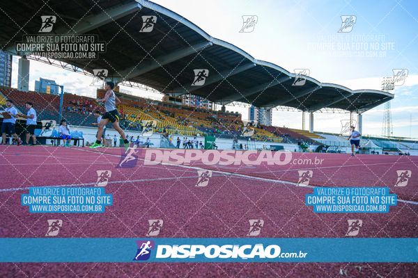 Foto 8247125