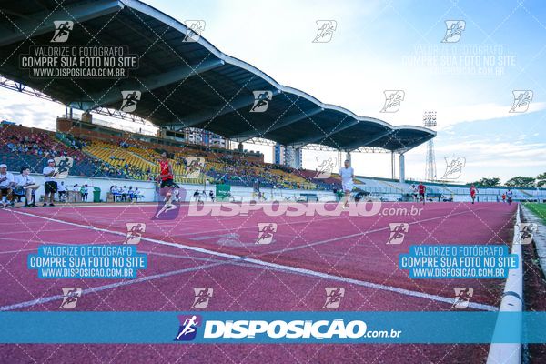 Foto 8247137