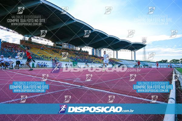 Foto 8247141